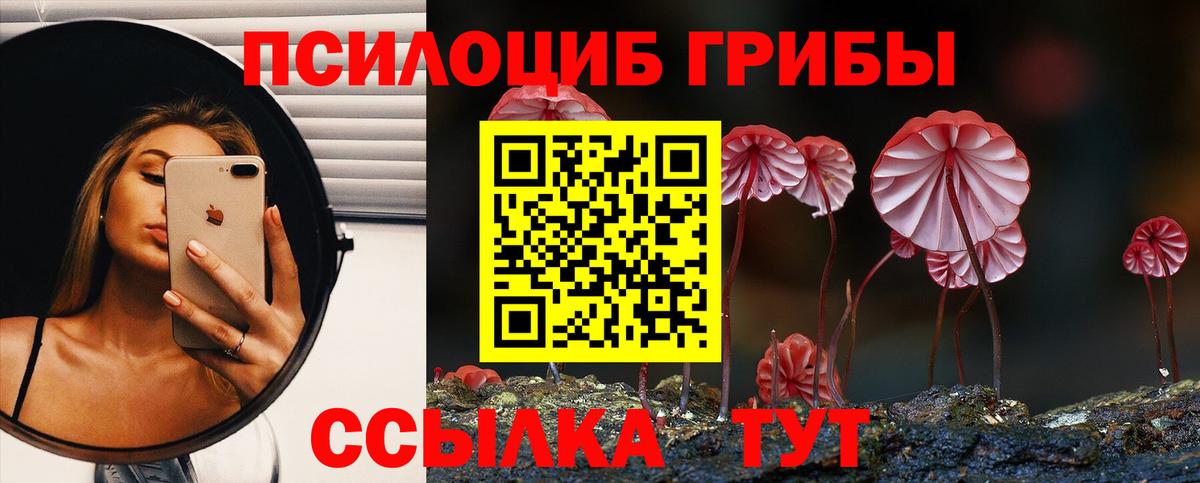 Псилоцибиновые грибы мицелий  Псилоцибиновые грибы Psilocybe  Семёнов  Вход с VPN 